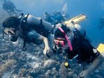 Dive Pirates Foundation