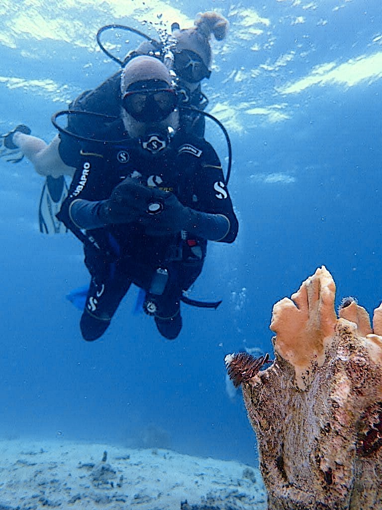 Dive Pirates Foundation