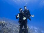 Dive Pirates Foundation